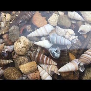 Meet your Posher, Jasmin